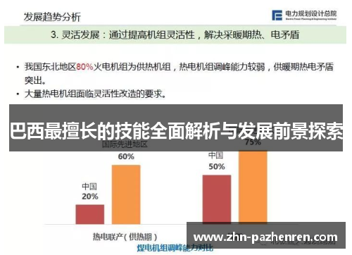 巴西最擅长的技能全面解析与发展前景探索