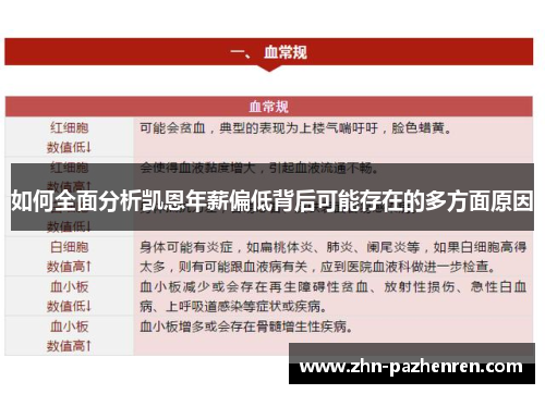 如何全面分析凯恩年薪偏低背后可能存在的多方面原因