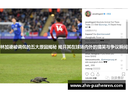 林加德被调侃的五大原因揭秘 揭开其在球场内外的搞笑与争议瞬间