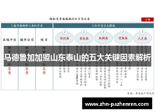 马德鲁加加盟山东泰山的五大关键因素解析