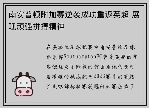 南安普顿附加赛逆袭成功重返英超 展现顽强拼搏精神