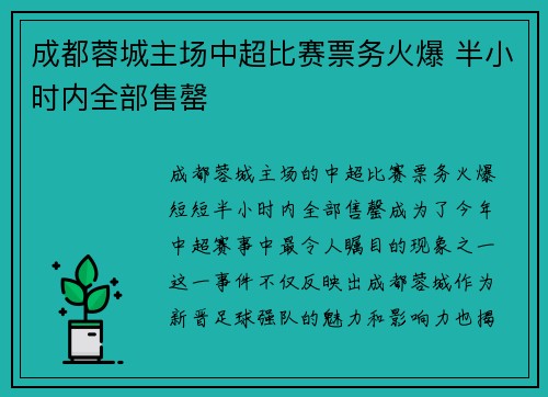 成都蓉城主场中超比赛票务火爆 半小时内全部售罄